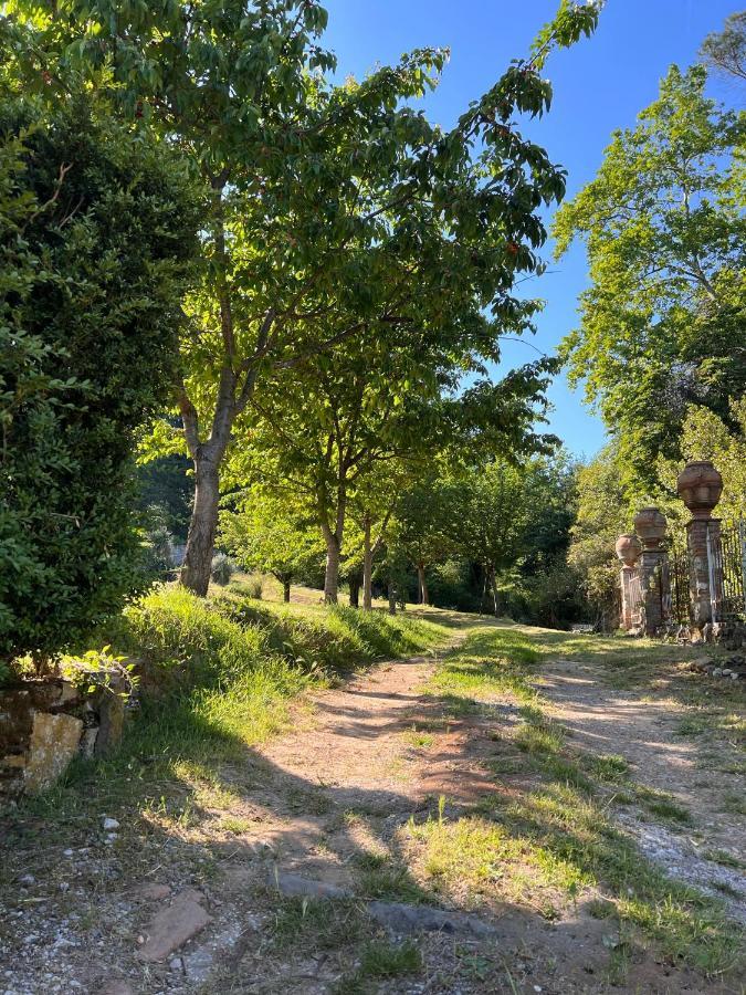 Borgo Al Canto Degli Alberi Лука Екстериор снимка